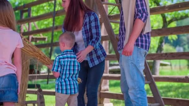 La familia está hablando bajo el potro de heno — Vídeo de stock