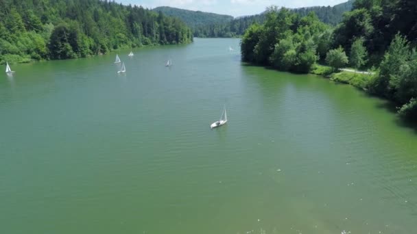 Зеленое озеро с окружающими его лесами — стоковое видео