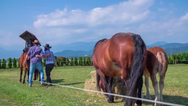 Pareja pone sus manos alrededor de la cintura del otro — Vídeo de stock