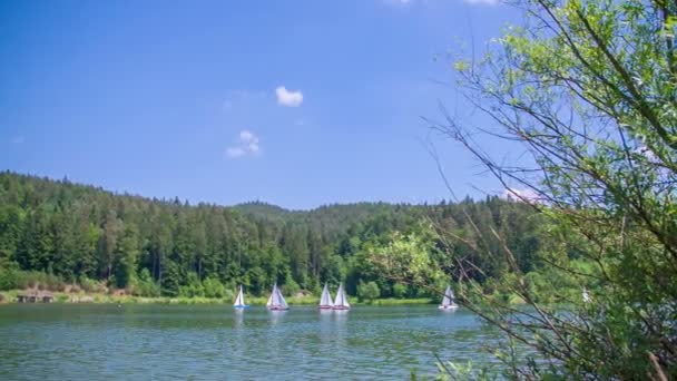 Veleiros navegando em um belo lago — Vídeo de Stock