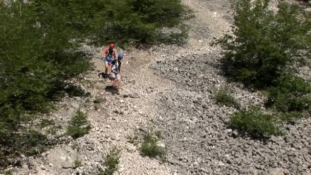 Adolescentes practicando sus habilidades de escalada — Vídeo de stock