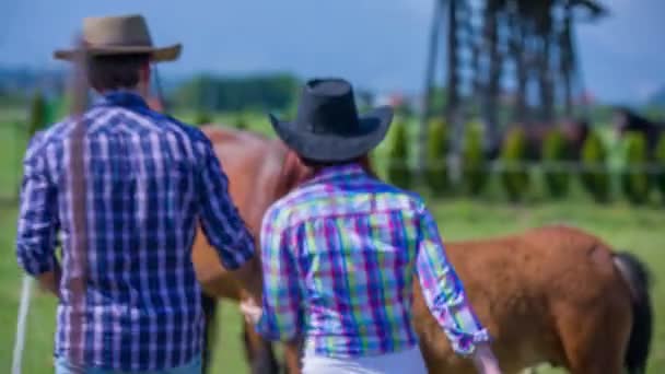 Casal andando até dois cavalos — Vídeo de Stock