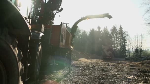 Macchinari pesanti stanno tagliando gli alberi — Video Stock