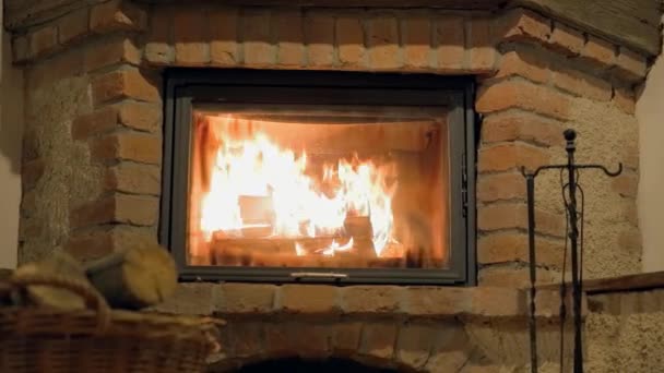 Innenraum-Kamin mit brennenden Holzscheiten — Stockvideo