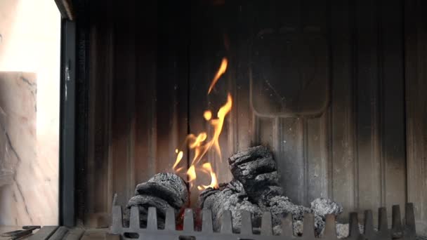 Briquetes estão queimando na lareira — Vídeo de Stock