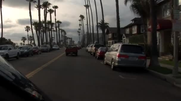 Palmiye ağaçları ile avenue aracılığıyla sürücü — Stok video