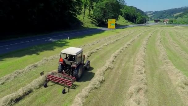 Ciągnik jest siano zbiorów — Wideo stockowe