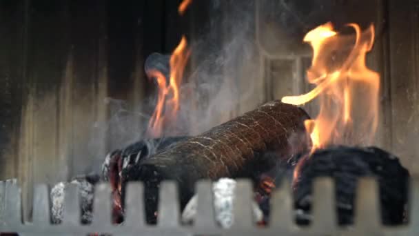 Briquetas se queman en la chimenea — Vídeos de Stock