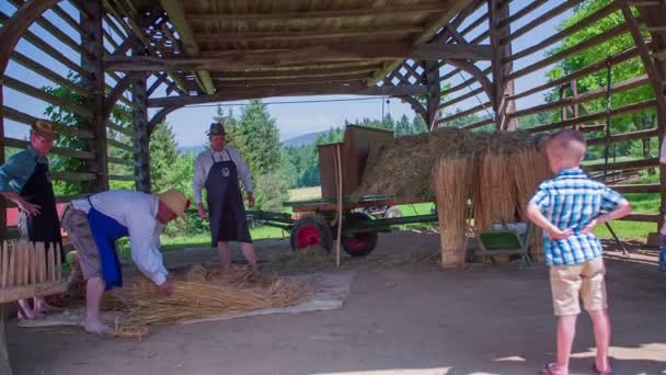 Hommes travaillant avec de la paille — Video