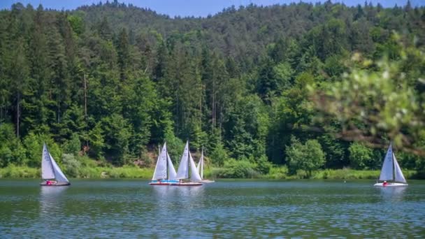 Segelbåtar går långsamt på en sjö — Stockvideo