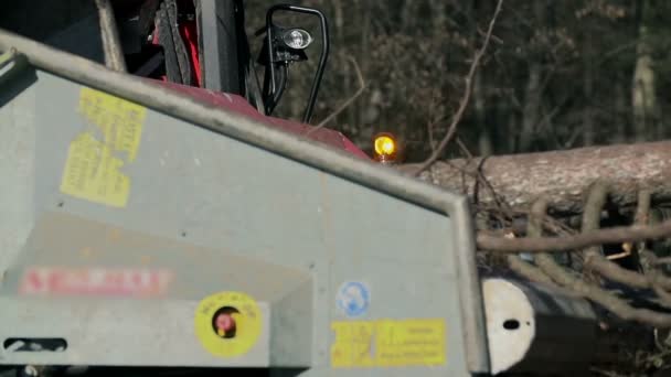 Vullen van de truck met houten deeltjes — Stockvideo