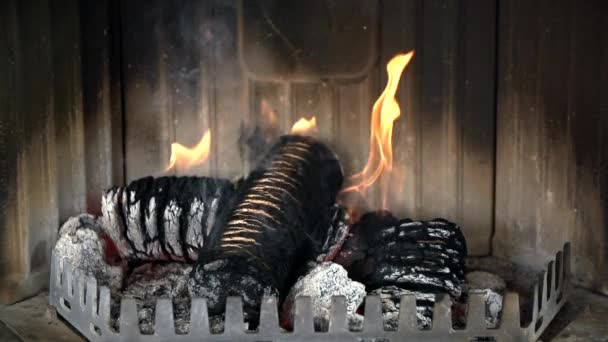 briquettes brûlent dans la cheminée 