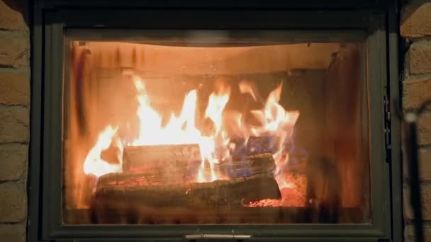 Innenraum-Kamin mit brennenden Holzscheiten — Stockvideo