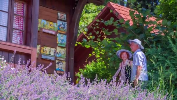 Una coppia anziana è di fronte all'apiario — Video Stock