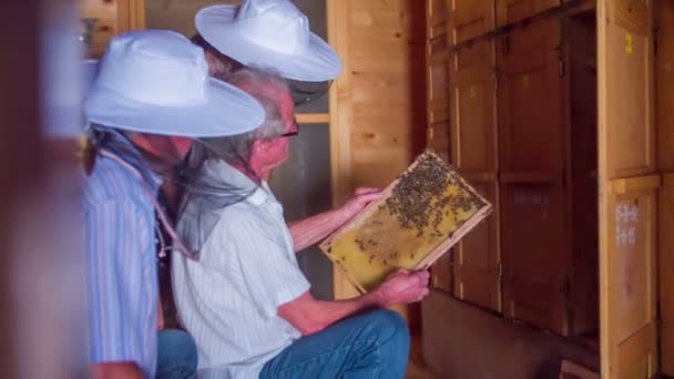 Ein Imker in diesem Bienenhaus zeigt den Besuchern den Vektor — Stockvideo