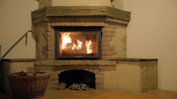 Innenraum-Kamin mit brennenden Holzscheiten — Stockvideo