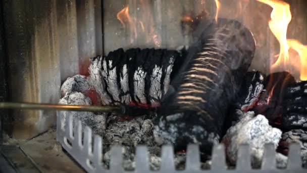 Брикеты горят в камине — стоковое видео