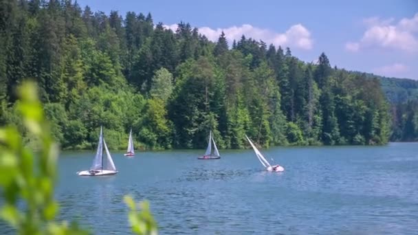 Segelboote bewegen sich langsam auf einem See — Stockvideo