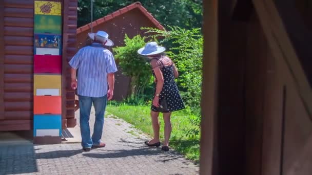 Una pareja de ancianos está de pie frente a apiary — Vídeo de stock