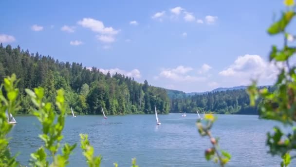 Łodzie żaglowe żeglują na jeziorze — Wideo stockowe