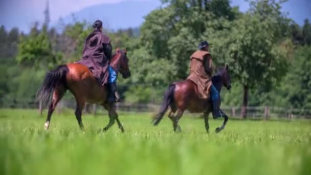 Una pareja montando caballos — Vídeo de stock