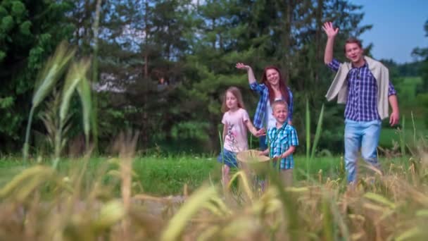 Семья идет рядом с пшеничным полем — стоковое видео