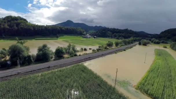 Campo de maíz en aguas fangosas inundadas — Vídeo de stock