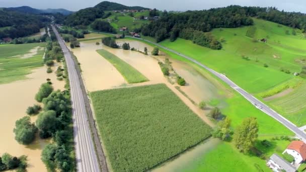 Campos de maíz inundados sobrevuelan — Vídeo de stock