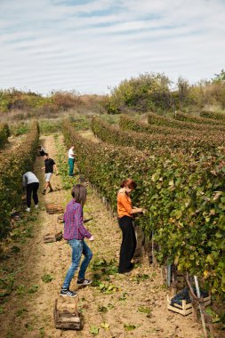 bağ'da çalışanlar