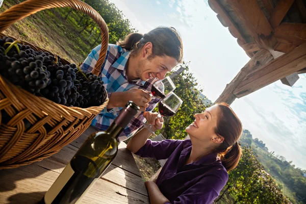 Magnifique couple Toasting — Photo