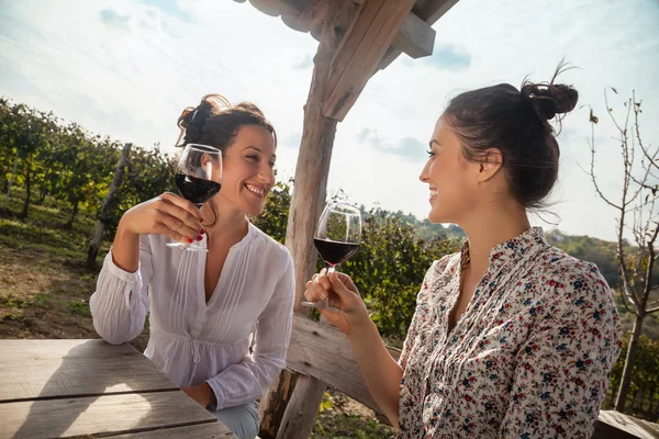 Zwei junge Frauen trinken Wein — Stockfoto