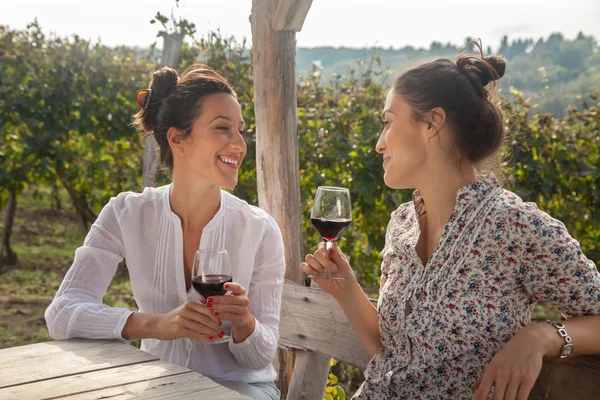 Dos mujeres jóvenes bebiendo vino — Foto de Stock