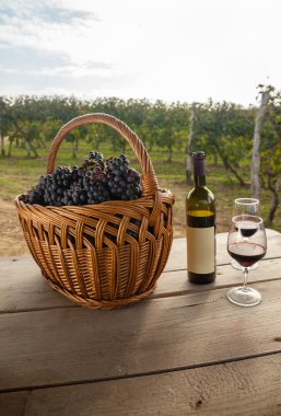 Şarap ve üzüm bağ tablo