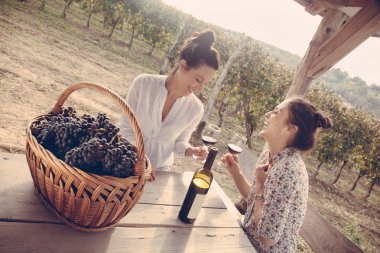 Two Cheerful Female Drinking Wine