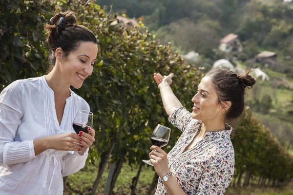 Duas jovens mulheres bebendo vinho — Fotografia de Stock