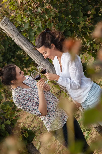 Deux jeunes femmes buvant du vin — Photo