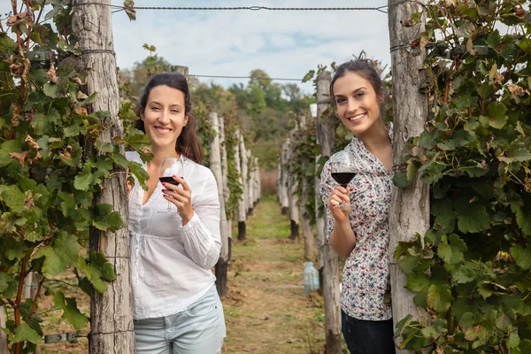 Dos mujeres jóvenes bebiendo vino —  Fotos de Stock