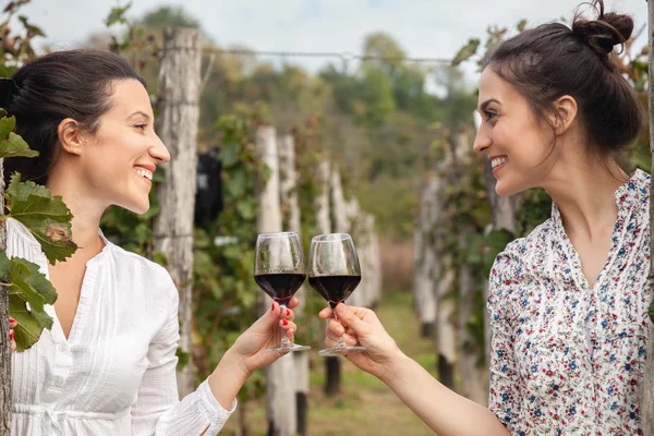 ワインを飲みながら二人の若い女性 — ストック写真