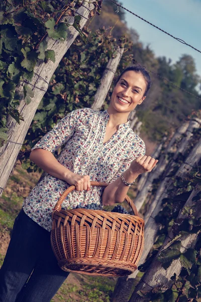 Woman Holding Basket Full Of Grapes — Stock Photo, Image