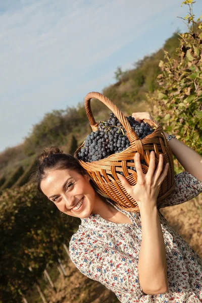 Žena nesoucí koš plný hroznů — Stock fotografie