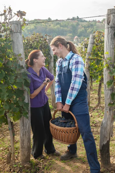 Lyckliga par i vingården — Stockfoto