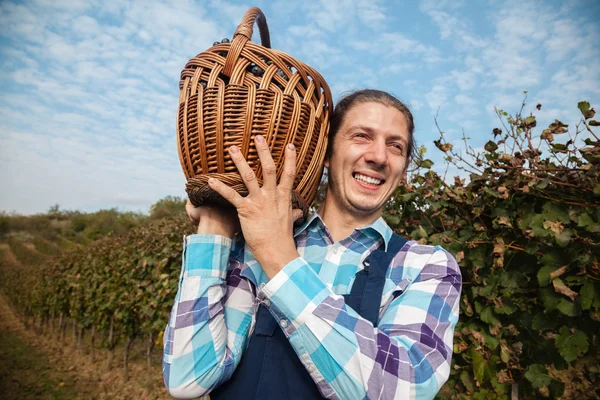 Farmer Carrying Basket Full Of Grapes — Stock Photo, Image