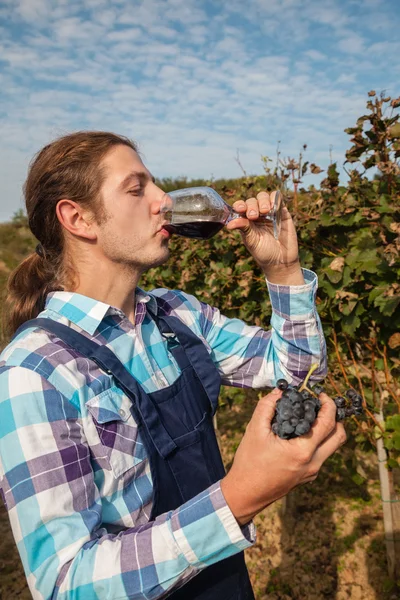 Unga jordbrukare dricka vin — Stockfoto
