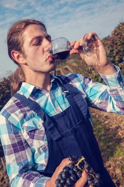 Jóvenes agricultores bebiendo vino — Foto de Stock