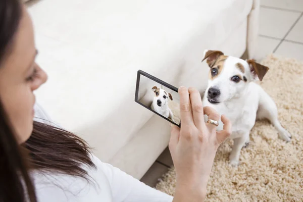 Молода жінка зі своїм собакою — стокове фото