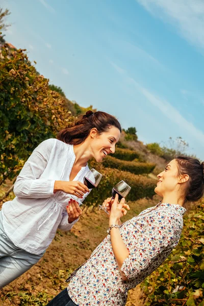 Due giovani donne che bevono vino — Foto Stock