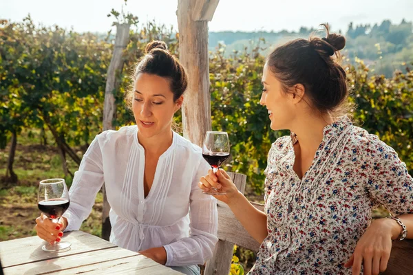 Due giovani donne che bevono vino — Foto Stock