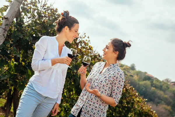 Zwei junge Frauen trinken Wein — Stockfoto