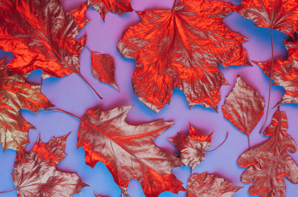 Pattern of dry orange metallic leaves on violet background with neon light. Autumn natural concept. Top view, flat lay.