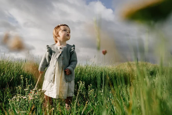 Portret Uroczej Dziewczynki Luźnych Ubraniach Stojącej Wysokiej Trawie Świeżym Powietrzu — Zdjęcie stockowe